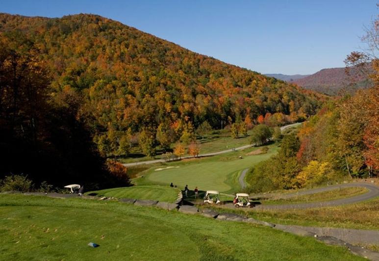 Allegheny Springs Snowshoe Exterior photo