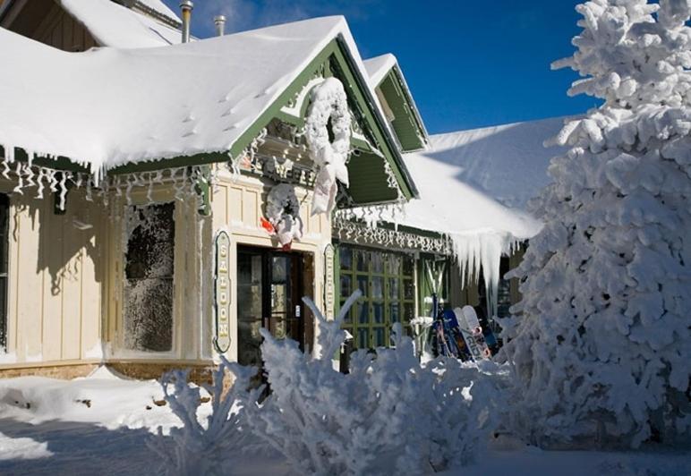 Allegheny Springs Snowshoe Exterior photo